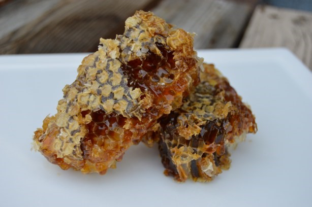  Sugar In Raw Honey Fitzgerald Warren MI